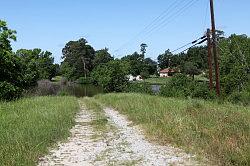 Sam Houston National forest